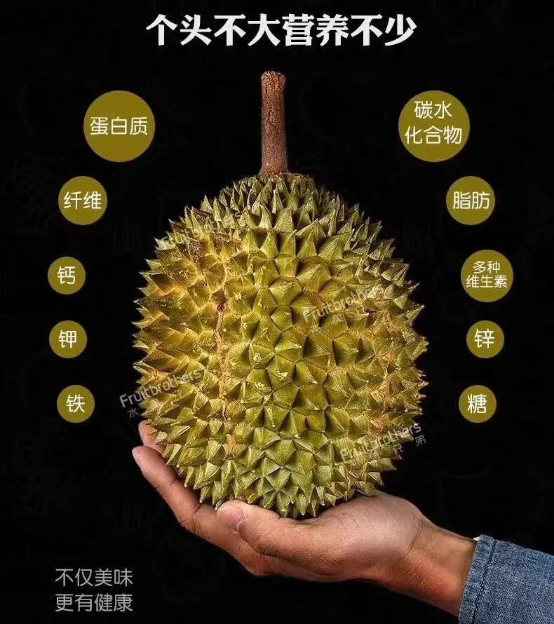 烘焙展,2025烘焙展,2025年烘焙展,春季烘焙展,秋季烘焙展,2025年秋季烘焙展,2025年春季烘焙展,北京烘焙展,2025北京烘焙展,烘焙食品展,2025烘焙食品展,月饼烘焙展,2025月饼烘焙展