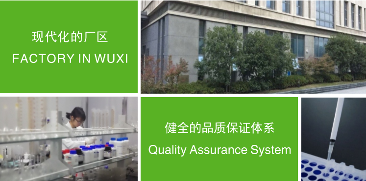 烘焙展,2025烘焙展,2025年烘焙展,春季烘焙展,秋季烘焙展,2025年秋季烘焙展,2025年春季烘焙展,北京烘焙展,2025北京烘焙展,烘焙食品展,2025烘焙食品展,月饼烘焙展,2025月饼烘焙展