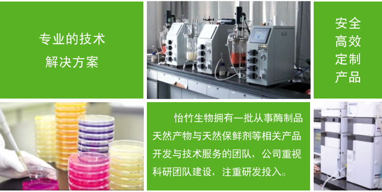 烘焙展,2025烘焙展,2025年烘焙展,春季烘焙展,秋季烘焙展,2025年秋季烘焙展,2025年春季烘焙展,北京烘焙展,2025北京烘焙展,烘焙食品展,2025烘焙食品展,月饼烘焙展,2025月饼烘焙展