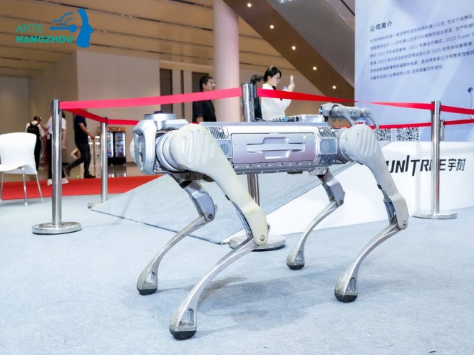 人形机器人展览会 (66).jpg