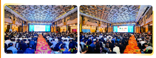 糖酒会,春季糖酒会,成都糖酒会,第114届糖酒会,全国糖酒会,春糖,2026春季糖酒会,2026成都糖酒会,2026年春糖,成都春季糖酒会,春季成都糖酒会,春季全国糖酒会,成都春糖